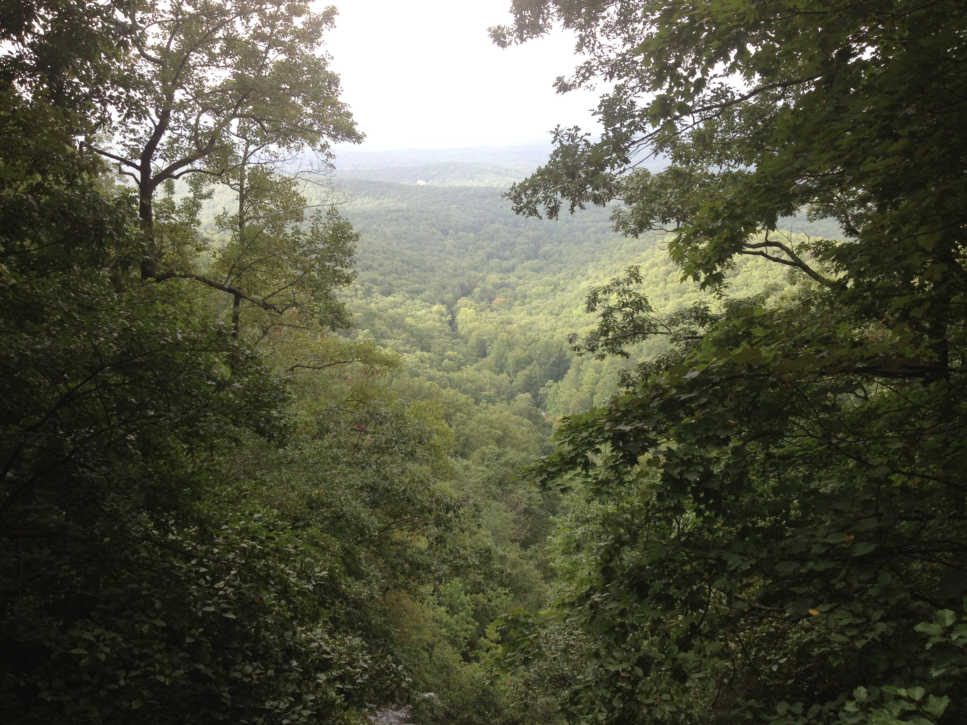 View on the Springer Mountain hike