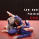 Low Guard Passing