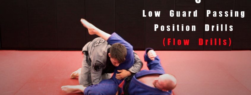 Low Guard Passing